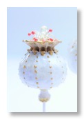 Yvonne Dallach Mohn